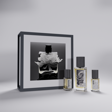 Load image into Gallery viewer, night fall - Personalized Collection
