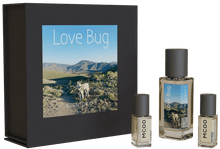 Load image into Gallery viewer, LOVE BUG - Personalized Collection
